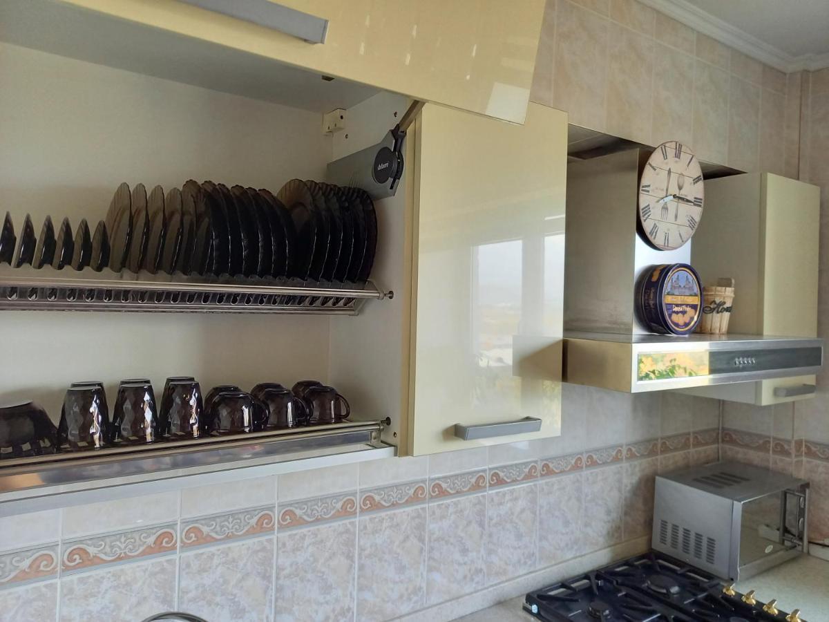"Картина Горных Вершин" Квартира- "Mountain View" Apartment Alma-Ata Buitenkant foto